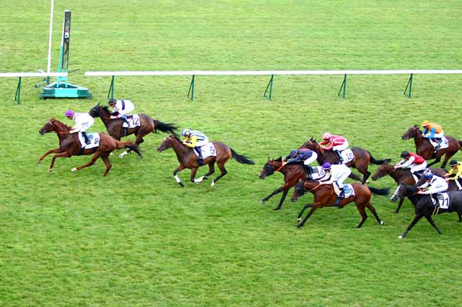 Photo d'arrivée de la course pmu PRIX DE L'ILE DE LA JATTE à LONGCHAMP le Jeudi 12 juillet 2018