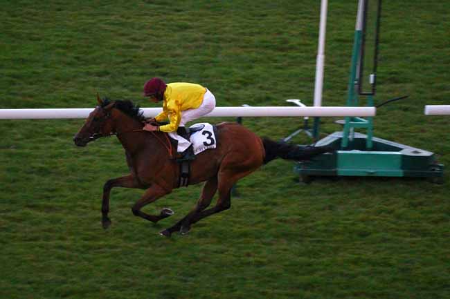Photo d'arrivée de la course pmu PRIX DU PONT DE LA CONCORDE à LONGCHAMP le Jeudi 12 juillet 2018