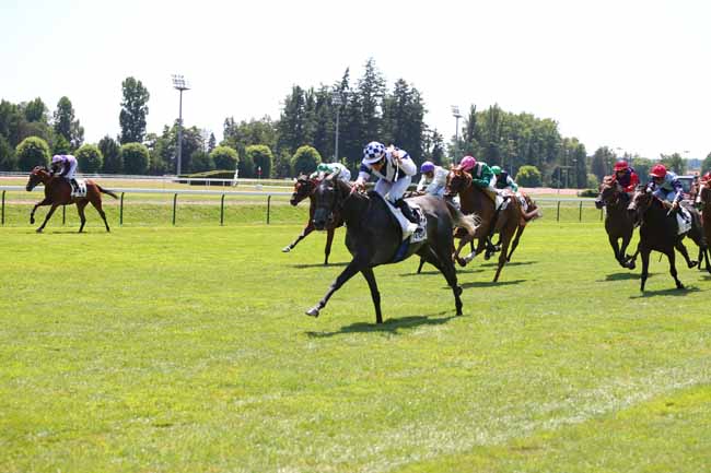 Photo d'arrivée de la course pmu PRIX BURGOS à VICHY le Jeudi 19 juillet 2018