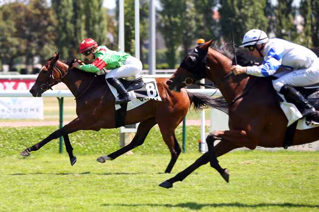 Photo d'arrivée de la course pmu PRIX DE SAINT-FELIX à VICHY le Jeudi 19 juillet 2018