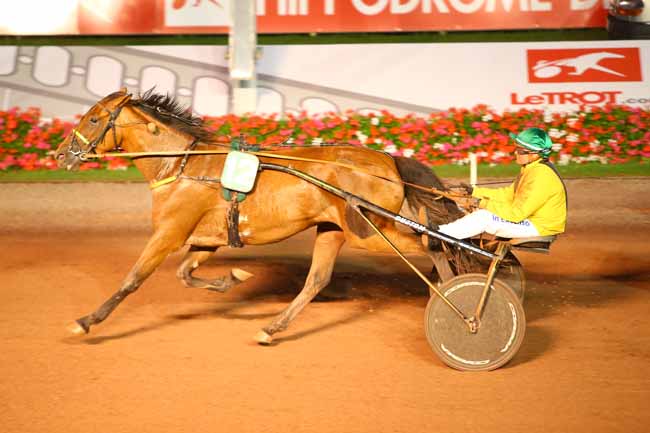Photo d'arrivée de la course pmu PRIX DES BUSSEROLES à CABOURG le Vendredi 27 juillet 2018