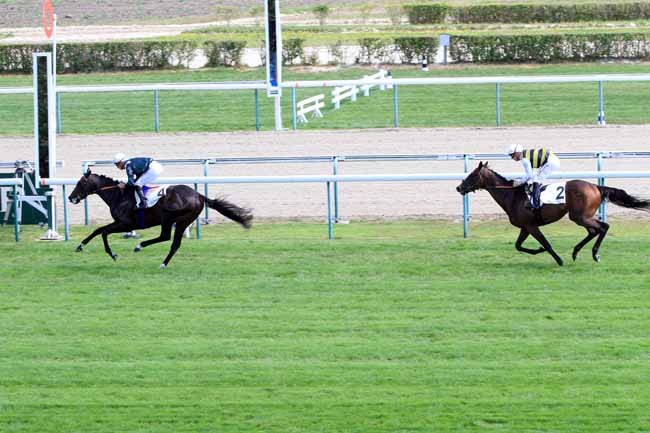 Photo d'arrivée de la course pmu PRIX DE COLOMBIERS à DEAUVILLE le Mardi 31 juillet 2018