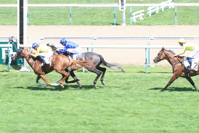 Photo d'arrivée de la course pmu PRIX DE TOURGEVILLE à DEAUVILLE le Mardi 31 juillet 2018