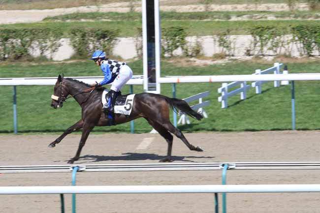 Photo d'arrivée de la course pmu PRIX DE CAMEMBERT à DEAUVILLE le Mardi 31 juillet 2018
