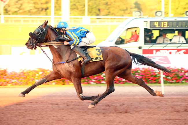 Photo d'arrivée de la course pmu PRIX DES HELIANTHES à CABOURG le Vendredi 3 août 2018