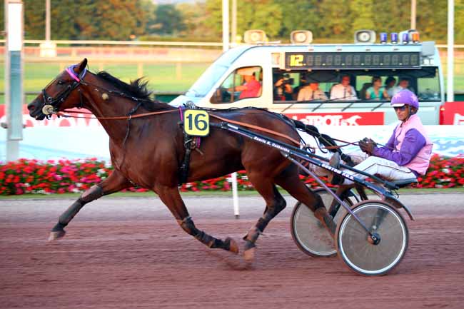 Photo d'arrivée de la course pmu PRIX DES TOURNESOLS à CABOURG le Vendredi 3 août 2018
