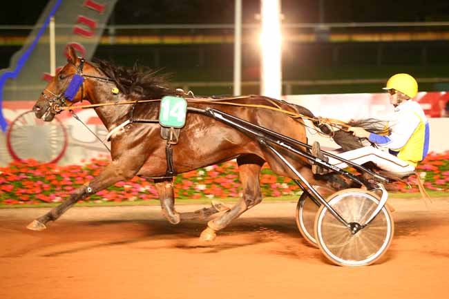 Photo d'arrivée de la course pmu PRIX DES LIS à CABOURG le Vendredi 3 août 2018