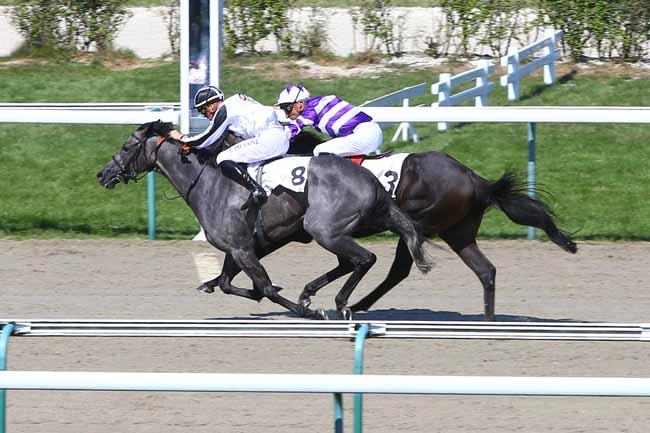 Photo d'arrivée de la course pmu PRIX DU LOGIS à DEAUVILLE le Vendredi 3 août 2018