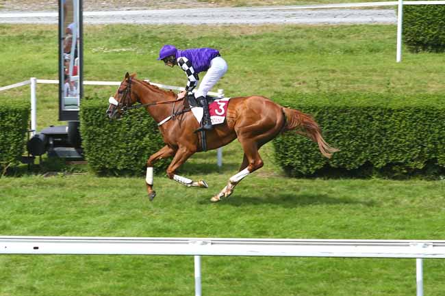 Photo d'arrivée de la course pmu PRIX DES TILLEULS à CLAIREFONTAINE le Samedi 4 août 2018