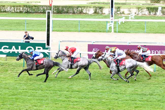 Photo d'arrivée de la course pmu DOHA CUP - PRIX MANGANATE à DEAUVILLE le Samedi 11 août 2018
