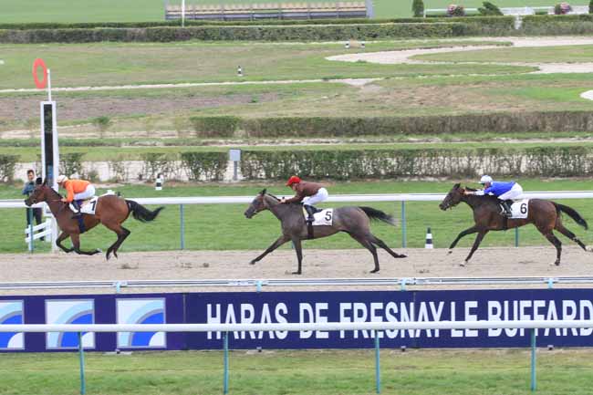 Photo d'arrivée de la course pmu PRIX DE LA VIE à DEAUVILLE le Dimanche 12 août 2018