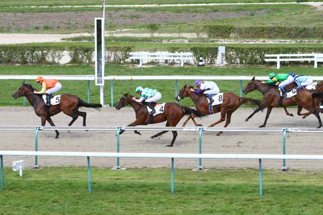 Photo d'arrivée de la course pmu PRIX DES HAUTES MOTTES à DEAUVILLE le Jeudi 16 août 2018