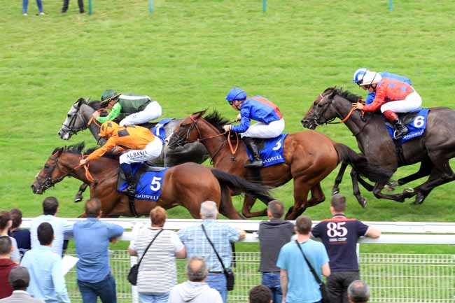 Photo d'arrivée de la course pmu PRIX DES ETALONS SHADWELL à DEAUVILLE le Samedi 18 août 2018