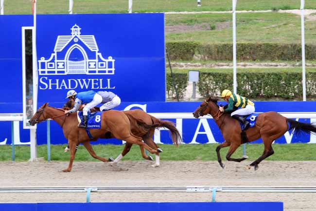 Photo d'arrivée de la course pmu PRIX ETALON NAYEF à DEAUVILLE le Samedi 18 août 2018