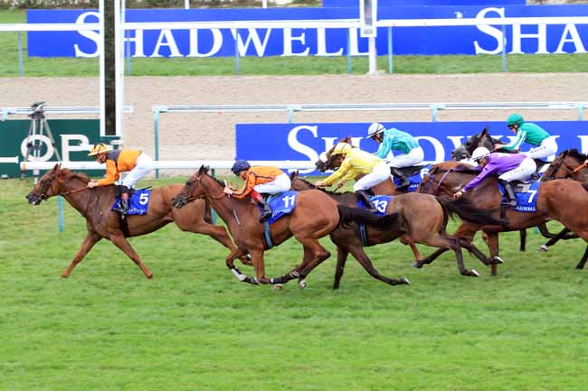 Photo d'arrivée de la course pmu PRIX ETALON MUKHADRAM à DEAUVILLE le Samedi 18 août 2018