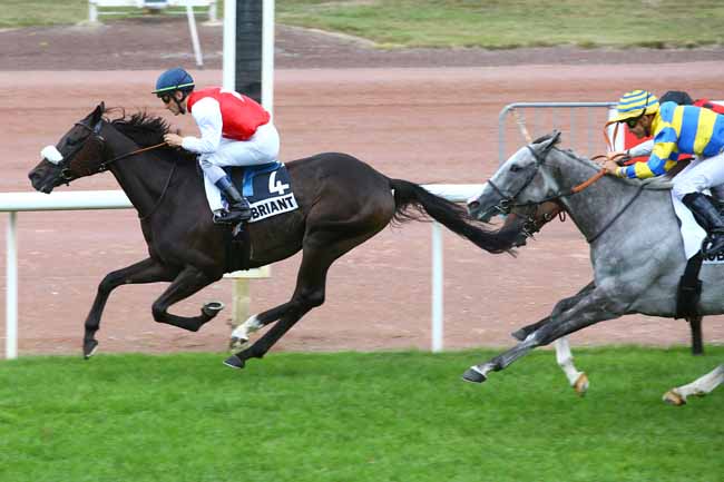 Photo d'arrivée de la course pmu PRIX DE SAINT-CLOUD à CHATEAUBRIANT le Lundi 20 août 2018