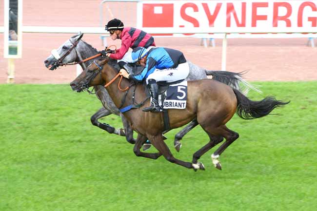 Photo d'arrivée de la course pmu PRIX GACKO à CHATEAUBRIANT le Lundi 20 août 2018