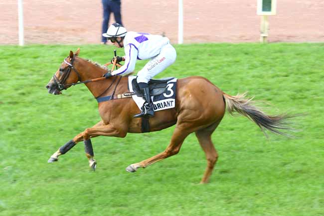 Photo d'arrivée de la course pmu PRIX DJARVIS à CHATEAUBRIANT le Lundi 20 août 2018