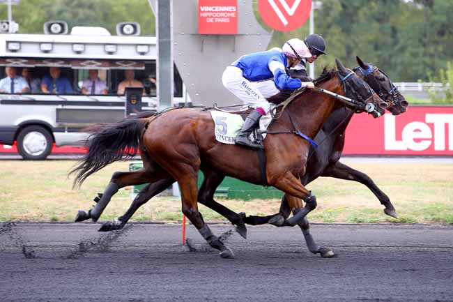 Photo d'arrivée de la course pmu PRIX D'ABBEVILLE à PARIS-VINCENNES le Lundi 20 août 2018