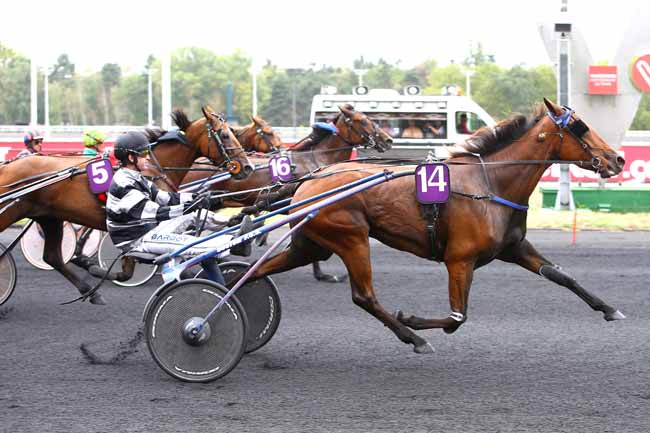Photo d'arrivée de la course pmu PRIX DE DOLE à PARIS-VINCENNES le Lundi 20 août 2018