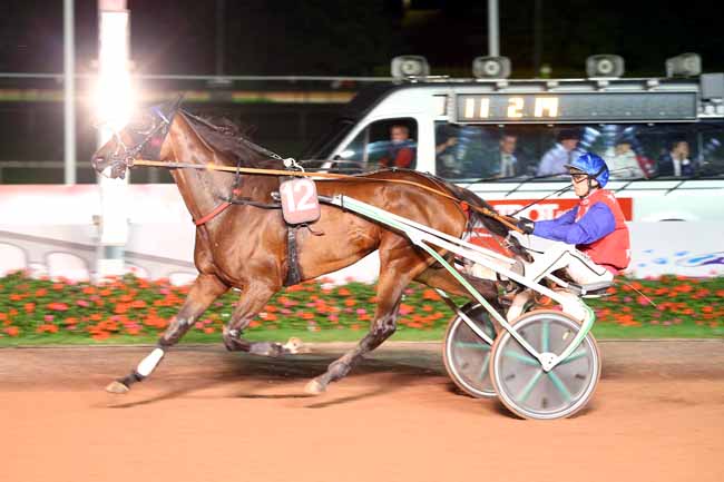 Photo d'arrivée de la course pmu PRIX DU PIN-AU-HARAS à CABOURG le Vendredi 24 août 2018