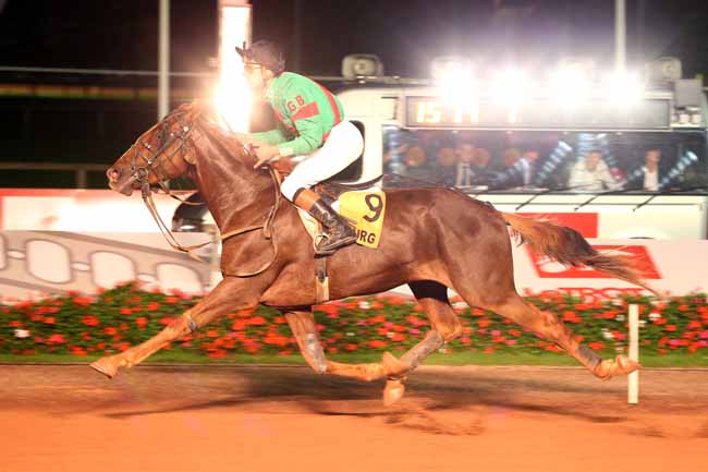 Photo d'arrivée de la course pmu PRIX DE MOULINS-LA-MARCHE à CABOURG le Vendredi 24 août 2018