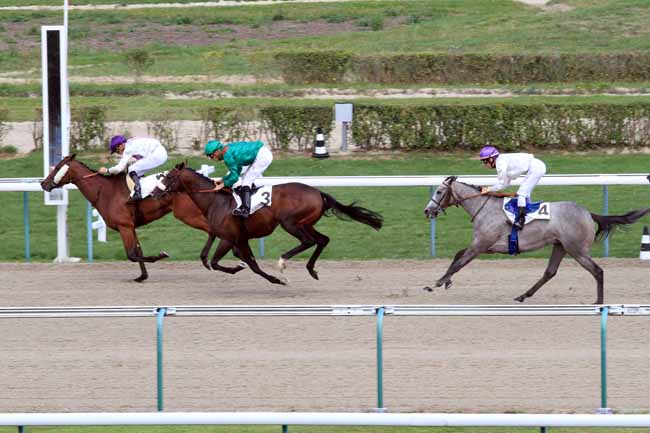 Photo d'arrivée de la course pmu PRIX DE LA RECONVERSION D'UN CHEVAL DE COURSES EN CHEVAL DE LOISIR à DEAUVILLE le Samedi 25 août 2018