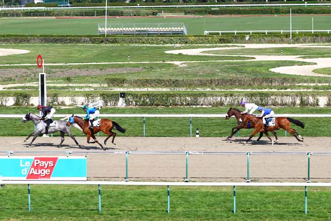 Photo d'arrivée de la course pmu PRIX DU GUE à DEAUVILLE le Mardi 28 août 2018