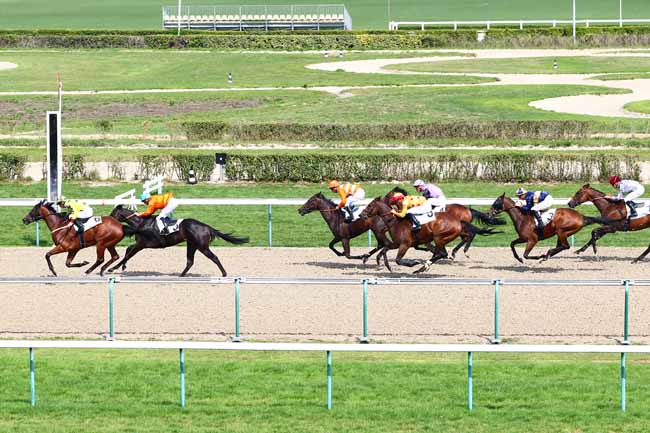Photo d'arrivée de la course pmu PRIX DE LOUVIERES-EN-AUGE à DEAUVILLE le Mercredi 29 août 2018