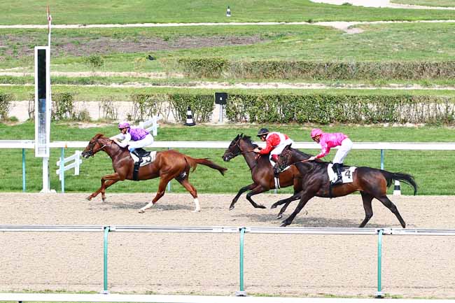 Photo d'arrivée de la course pmu PRIX DU HAMEL à DEAUVILLE le Mercredi 29 août 2018