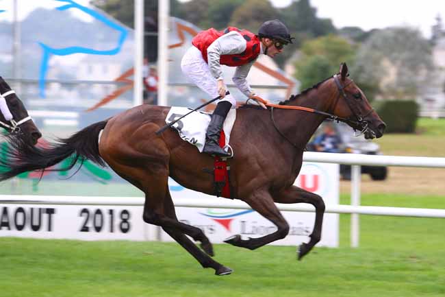 Photo d'arrivée de la course pmu HANDICAP DU LION-D'ANGERS à LE LION D'ANGERS le Jeudi 30 août 2018