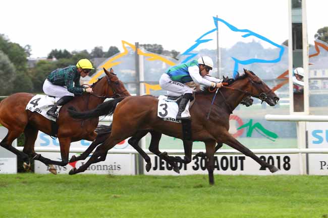 Photo d'arrivée de la course pmu PRIX DE CHATEAUNEUF-SUR-SARTHE à LE LION D'ANGERS le Jeudi 30 août 2018
