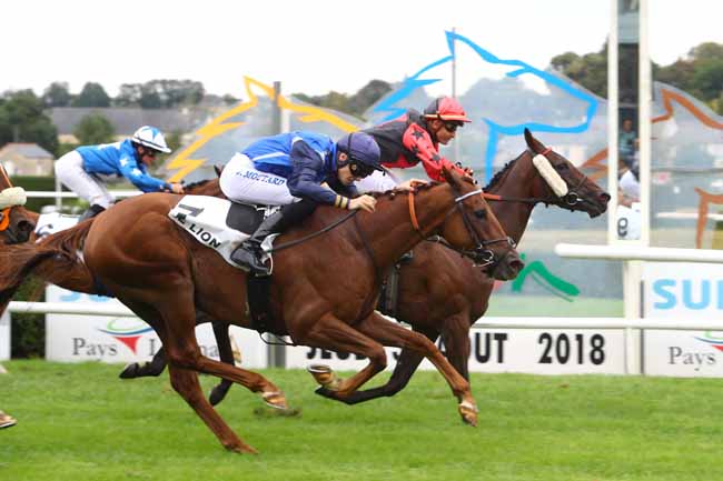 Photo d'arrivée de la course pmu PRIX DU MONDIAL DU LION à LE LION D'ANGERS le Jeudi 30 août 2018