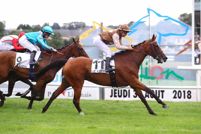 Photo d'arrivée de la course pmu PRIX DE LA FEE DU MAS à LE LION D'ANGERS le Jeudi 30 août 2018