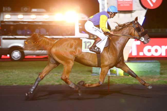 Photo d'arrivée de la course pmu PRIX PEITHO à PARIS-VINCENNES le Vendredi 31 août 2018