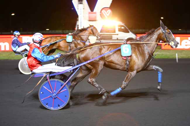 Photo d'arrivée de la course pmu PRIX INO à PARIS-VINCENNES le Vendredi 31 août 2018