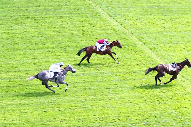 Photo d'arrivée de la course pmu PRIX PELAT à AUTEUIL le Vendredi 31 août 2018