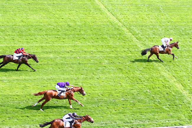 Photo d'arrivée de la course pmu PRIX DE L'ORLEANAIS à AUTEUIL le Vendredi 31 août 2018