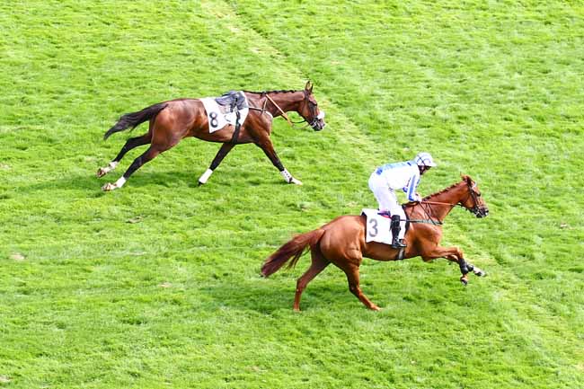 Photo d'arrivée de la course pmu PRIX ACHILLE-FOULD à AUTEUIL le Vendredi 31 août 2018