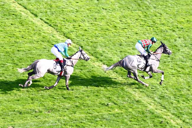 Photo d'arrivée de la course pmu PRIX PIERRE ET JEAN-MARIE MERCIER à AUTEUIL le Vendredi 31 août 2018