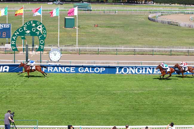 Photo d'arrivée de la course pmu PRIX DES TERRIERS DES HOUX à CHANTILLY le Samedi 1 septembre 2018