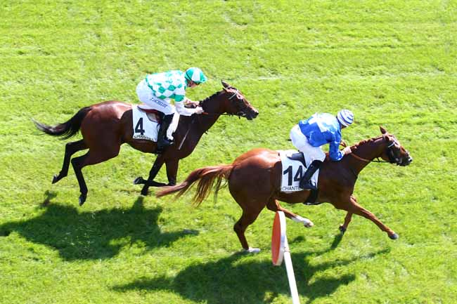 Photo d'arrivée de la course pmu PRIX DES SOIXANTE ARPENTS à CHANTILLY le Samedi 1 septembre 2018