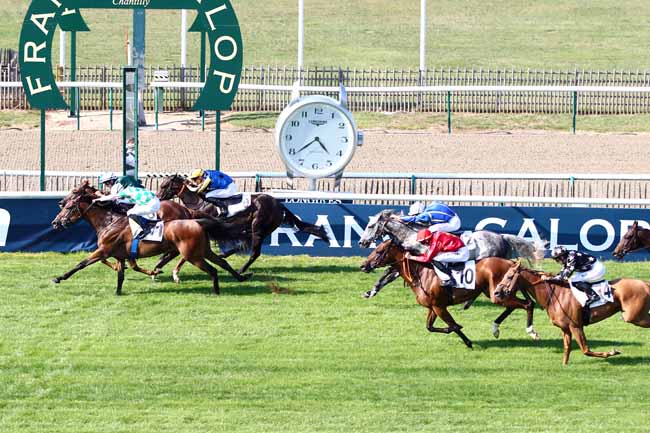 Photo d'arrivée de la course pmu PRIX DU CANAL DES MORFONDUS à CHANTILLY le Samedi 1 septembre 2018