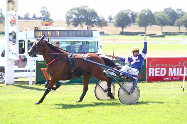 Photo d'arrivée de la course pmu TROPHEE VERT DES APPRENTIS (FINALE) à CRAON le Dimanche 2 septembre 2018