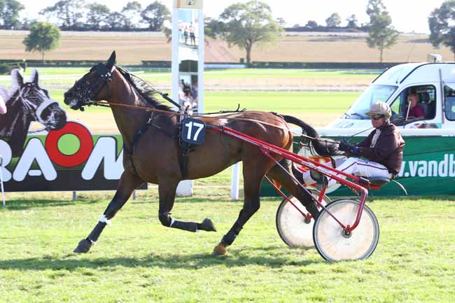 Photo d'arrivée de la course pmu PRIX TENOR DE BAUNE à CRAON le Dimanche 2 septembre 2018