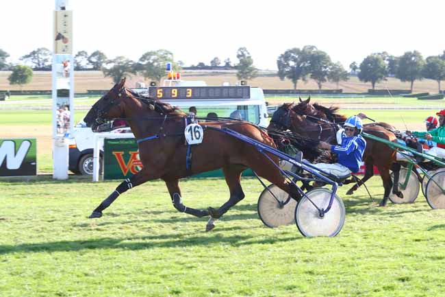 Photo d'arrivée de la course pmu TROPHEE VERT DES AMATEURS (FINALE) à CRAON le Dimanche 2 septembre 2018