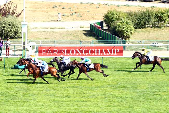 Photo d'arrivée de la course pmu PRIX LA ROCHETTE à LONGCHAMP le Dimanche 2 septembre 2018