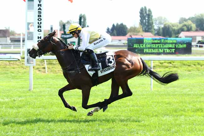 Photo d'arrivée de la course pmu PRIX FORNELLS à STRASBOURG le Mardi 4 septembre 2018