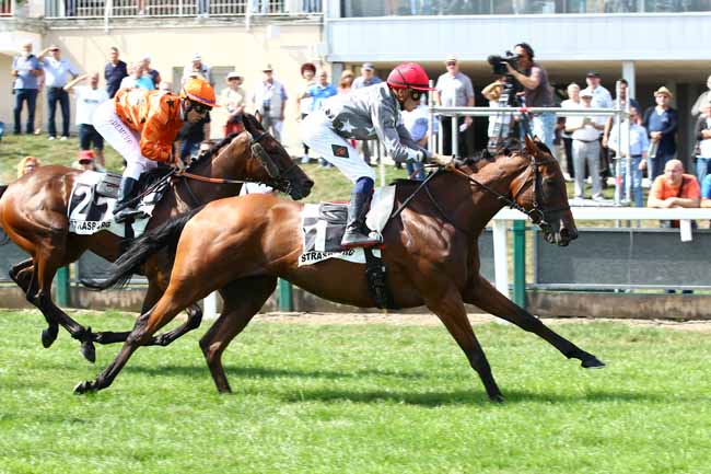 Photo d'arrivée de la course pmu PRIX COMITE 54 DE LA LIGUE CONTRE LE CANCER à STRASBOURG le Mardi 4 septembre 2018