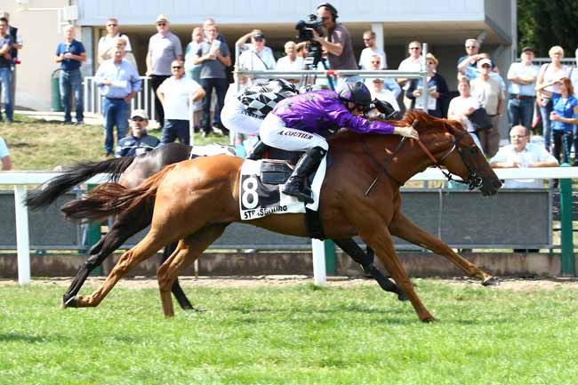 Photo d'arrivée de la course pmu PRIX METROPOLE DU GRAND NANCY à STRASBOURG le Mardi 4 septembre 2018